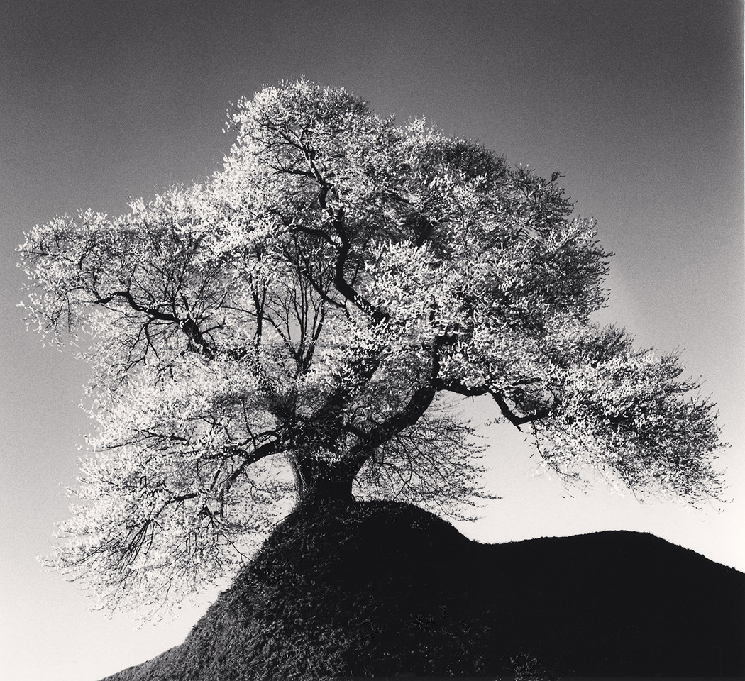 kostuik gallery, michael kenna, press release, vancouver art scene, yaletown, helen siwak, folioyvr, yvr, bc, fine art gallery